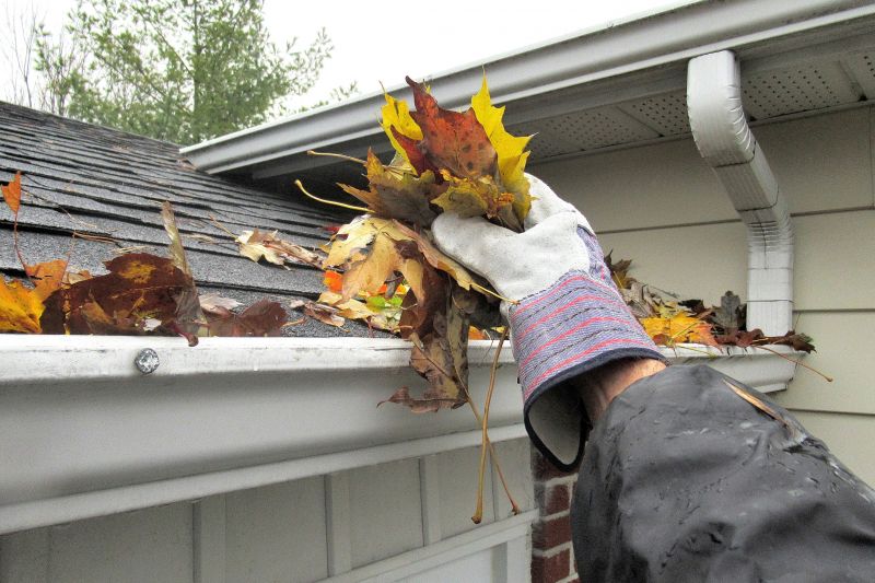 Fall Gutter Inspection